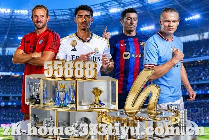 333体育